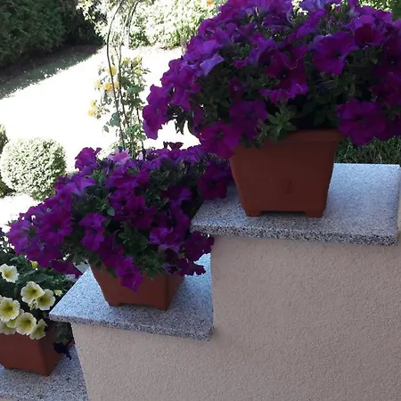 شقة Shafaly Mariánské Lázně